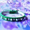 Fancy rhinestone & Pearl slimline dog collar.